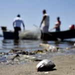 Ministério da Agricultura publica novas regras para pesca por embarcações