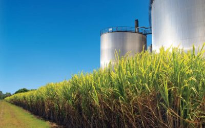 Empresa anuncia reativação de usina de etanol; 650 empregos devem ser gerados