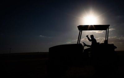 Locadora de máquinas agrícolas e caminhões quer expandir ação no Centro-Oeste