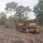 Quase 80% do desmatamento do Cerrado em Mato Grosso foi de forma ilegal, diz ICV