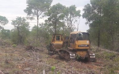 Quase 80% do desmatamento do Cerrado em Mato Grosso foi de forma ilegal, diz ICV