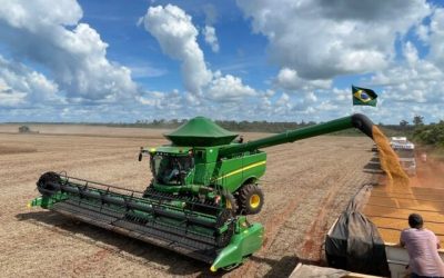 Colheita da safra brasileira 2022/23 de soja atinge 48,9%, diz Safras