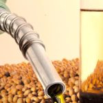FPBio se manifesta a favor da continuidade do Programa Nacional do Biodiesel