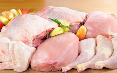 Brasil deve produzir 14,8 milhões de toneladas de carne de frango em 2023