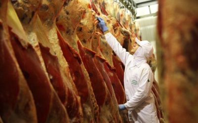 Abate de bovinos cresce 8,21% em Mato Grosso