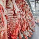 Argentina faz 1ª exportação de carne bovina ao México