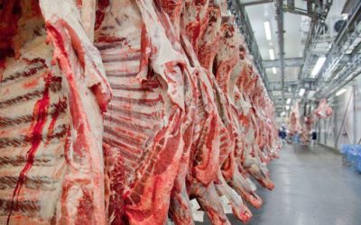 Mais três países suspendem compras de carne bovina do Brasil