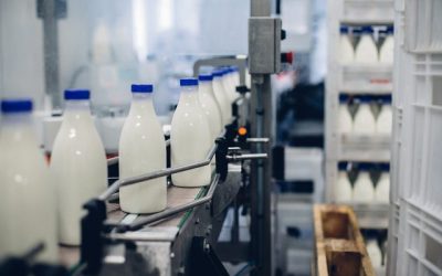 Cooperativa e empresa firmam parceria para impulsionar setor lácteo no RS