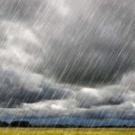 Chuva em excesso atrapalha colheita em quatro estados