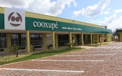 Cooperativa distribui mais de R$ 56 milhões a produtores associados