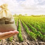 CNA solicita R$ 1,5 bi para equalização de juros do crédito rural