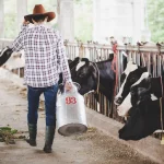 CNA defende apoio ao setor de leite para evitar repetição da crise