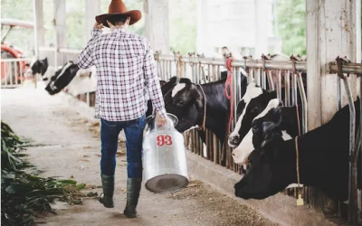 CNA defende apoio ao setor de leite para evitar repetição da crise