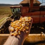 Safra do Brasil deve superar 320 milhões de toneladas de grãos em 2022/23