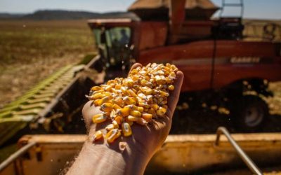 Safra do Brasil deve superar 320 milhões de toneladas de grãos em 2022/23