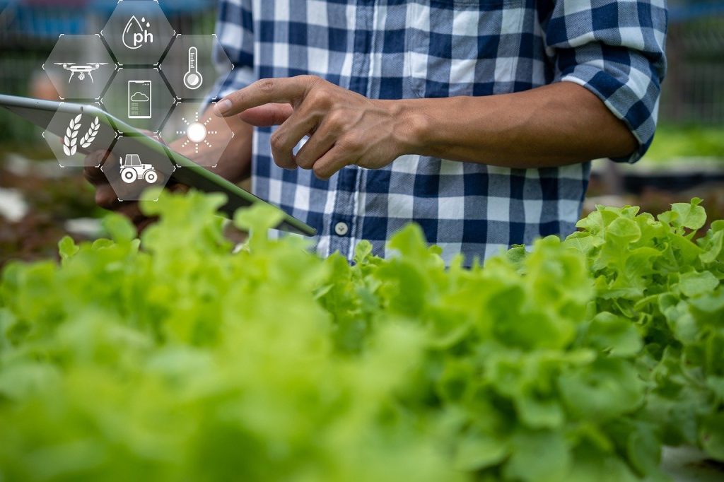 Agro quer se conectar com 5G, mas infraestrutura ainda é desafio