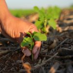 Produtores rurais: os guardiões da sustentabilidade ambiental