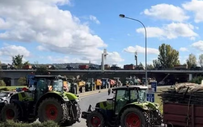 Por que acordo UE-Mercosul enfurece o agro da França