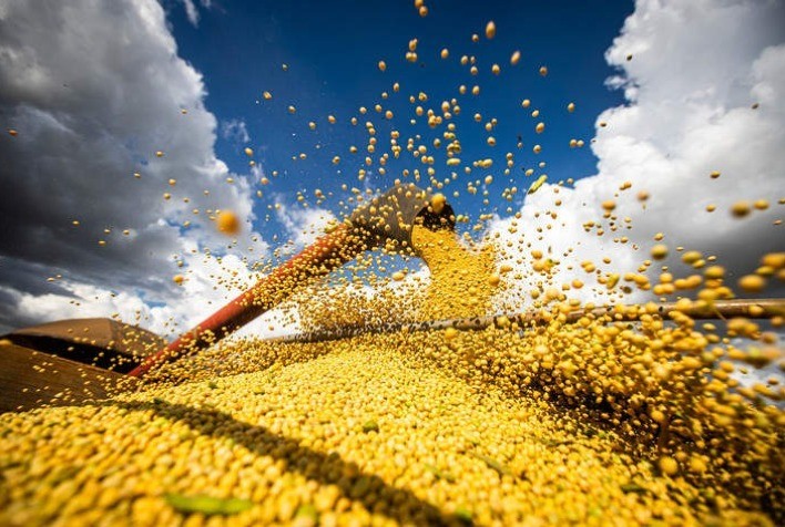 Brasil colhe 85,3% da soja e planta 99,1% do milho segunda safra, aponta Conab