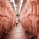Exportações de carne bovina crescem 41% em volume e 42% em receita em março, aponta Abrafrigo