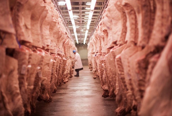 Exportações de carne bovina crescem 41% em volume e 42% em receita em março, aponta Abrafrigo