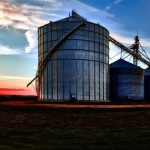 Modernização do pós-colheita é essencial para reduzir perdas e fortalecer o agronegócio brasileiro