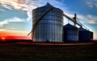 Modernização do pós-colheita é essencial para reduzir perdas e fortalecer o agronegócio brasileiro