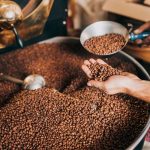 Brasil consolida protagonismo no café canéfora e mira liderança mundial