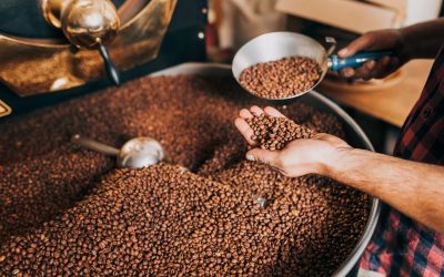 Brasil consolida protagonismo no café canéfora e mira liderança mundial