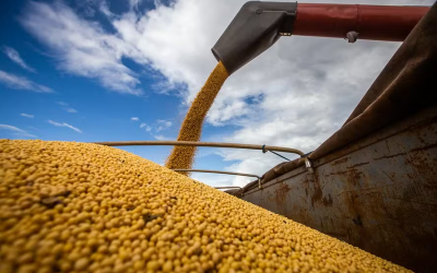 Brasil deve ter safra recorde de soja e produtividade inédita de milho inverno