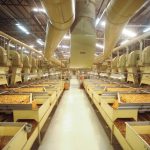 Exportações de tabaco crescem quase 18% e alcançam melhor resultado do setor em uma década