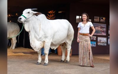 Força feminina muda o agronegócio com gestão profissional e inovação