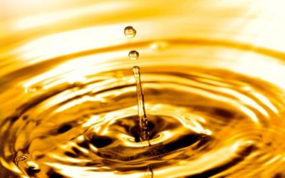 Uso de sebo bovino para biodiesel deve crescer no Brasil após tarifas dos EUA
