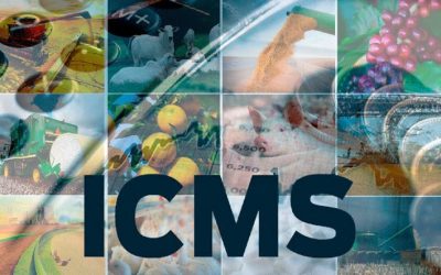 Recuperação de ICMS no agronegócio é legal, estratégica e ainda pouco explorada
