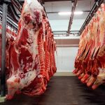 Exportação de carne bovina do Brasil crescerá 12% em 2025 apesar de taxas dos EUA, prevê Abiec