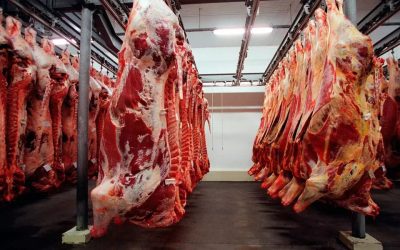 Exportação de carne bovina do Brasil crescerá 12% em 2025 apesar de taxas dos EUA, prevê Abiec